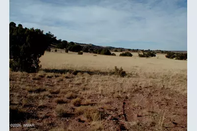 001 N8526, Concho, AZ 85924 - Photo 12