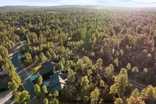 3031 W Alpine Rdg Rd, Show Low, AZ 85901 - Photo 54