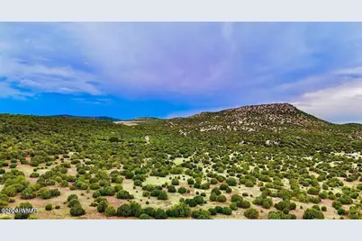 Tbd Co Rd N3218 37 Acres, Vernon, AZ 85940 - Photo 8