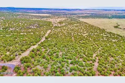 Tbd Co Rd N3218 37 Acres, Vernon, AZ 85940 - Photo 20