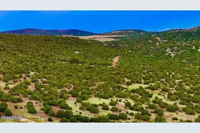 Tbd Co Rd N3218 37 Acres, Vernon, AZ 85940 - Photo 14