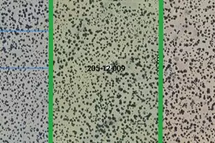 25 N County Rd 7210, Saint Johns, AZ 85936 - Photo 54