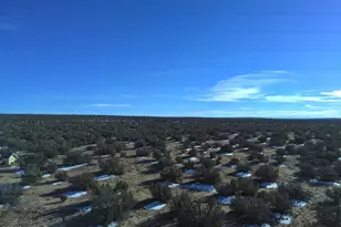 25 N County Rd 7210, Saint Johns, AZ 85936 - Photo 48