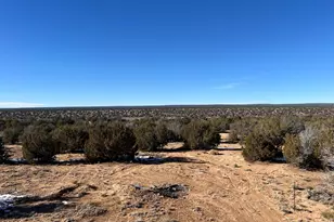 25 N County Rd 7210, Saint Johns, AZ 85936 - Photo 36