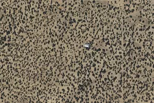 25 N County Rd 7210, Saint Johns, AZ 85936 - Photo 52