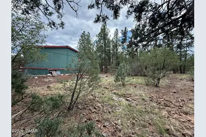 2350 N Blue Grass Ranch Drive, Lakeside, AZ 85929 - Photo 18