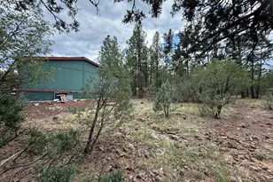 2350 N Blue Grass Ranch Dr, Lakeside, AZ 85929 - Photo 18