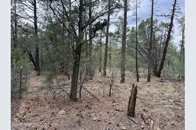 2350 N Blue Grass Ranch Drive, Lakeside, AZ 85929 - Photo 20