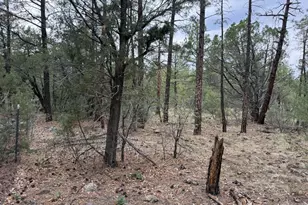 2350 N Blue Grass Ranch Dr, Lakeside, AZ 85929 - Photo 20