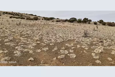 Tbd Tbd, Vernon, AZ 85940 - Photo 2