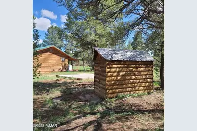 3091 Az-277, Overgaard, AZ 85928 - Photo 30