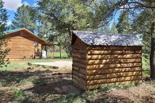 3091 AZ-277, Overgaard, AZ 85928 - Photo 30