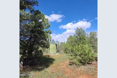 3091 Az-277, Overgaard, AZ 85928 - Photo 14