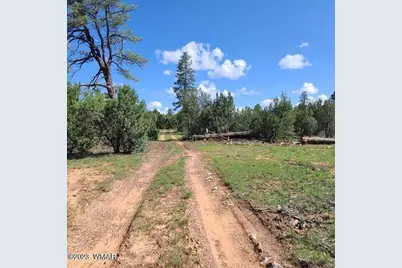 3091 Az-277, Overgaard, AZ 85928 - Photo 2