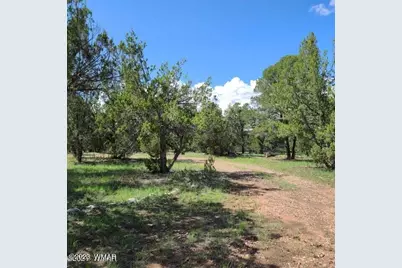 3091 Az-277, Overgaard, AZ 85928 - Photo 10