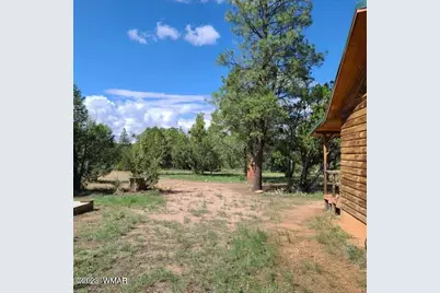3091 Az-277, Overgaard, AZ 85928 - Photo 4