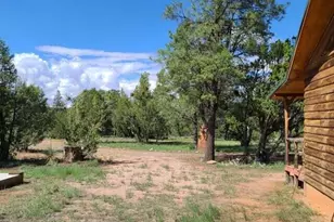 3091 AZ-277, Overgaard, AZ 85928 - Photo 6