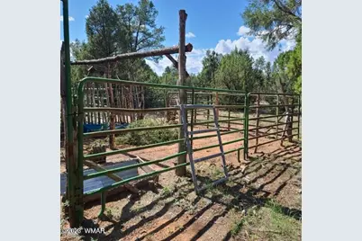 3091 Az-277, Overgaard, AZ 85928 - Photo 30