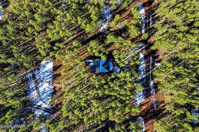 903 Birdsong Way, Lakeside, AZ 85929 - Photo 28