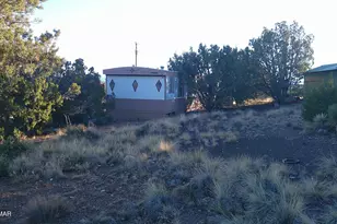 6 County Rd 5061 Ln, Concho Valley, AZ 85924 - Photo 1