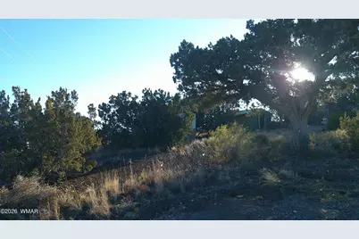 6 County Rd 5061 Lane, Concho Valley, AZ 85924 - Photo 16