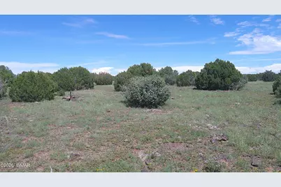 8571 Pine Lane, Snowflake, AZ 85937 - Photo 18