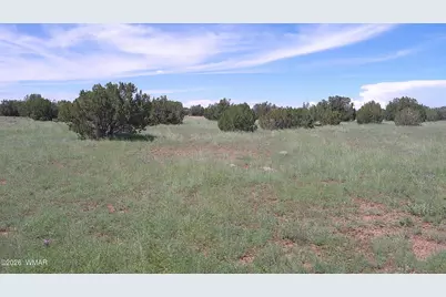 8571 Pine Lane, Snowflake, AZ 85937 - Photo 22
