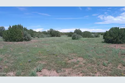 8571 Pine Lane, Snowflake, AZ 85937 - Photo 20