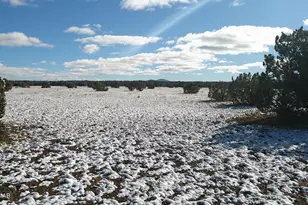 8571 Pine Ln, Snowflake, AZ 85937 - Photo 1