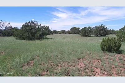 8571 Pine Lane, Snowflake, AZ 85937 - Photo 24