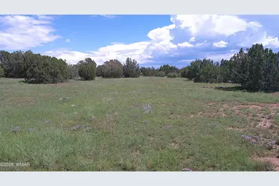 8571 Pine Lane, Snowflake, AZ 85937 - Photo 1