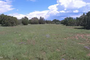 8571 Pine Ln, Snowflake, AZ 85937 - Photo 1