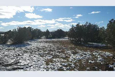 8577 Pine Lane, Snowflake, AZ 85937 - Photo 20