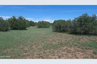 8577 Pine Lane, Snowflake, AZ 85937 - Photo 20