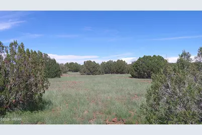 8577 Pine Lane, Snowflake, AZ 85937 - Photo 18