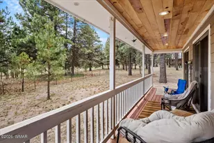 24 Co Rd 2065, Alpine, AZ 85920 - Photo 8
