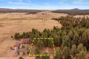 24 Co Rd 2065, Alpine, AZ 85920 - Photo 34