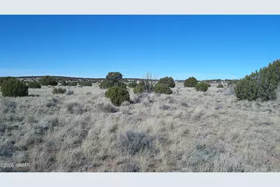 Tbd Lakeview Ranch 1, Concho, AZ 85924 - Photo 34