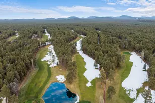 7319 Indian Bend Rd, Pinetop, AZ 85935 - Photo 50