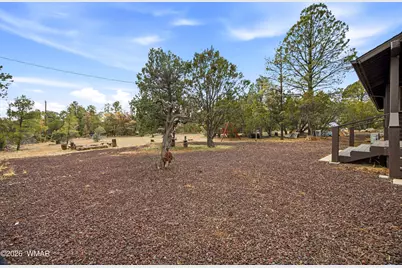 3113 Whitetail Way, Overgaard, AZ 85933 - Photo 20