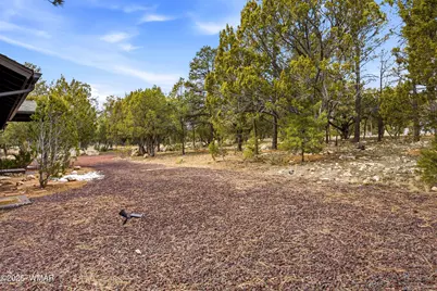 3113 Whitetail Way, Overgaard, AZ 85933 - Photo 22