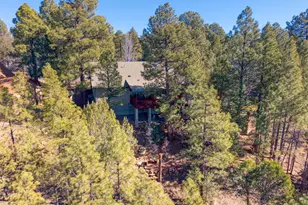 4161 W Thornton Rd, Show Low, AZ 85901 - Photo 28