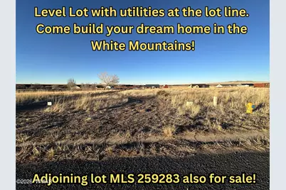 Tbd 3rd Place Lot 126, Eagar, AZ 85925 - Photo 1