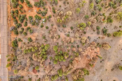 2230 Country Club Drive, Overgaard, AZ 85933 - Photo 4