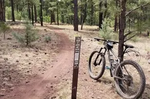 630 Vernon County Rd, Vernon, AZ 85940 - Photo 22