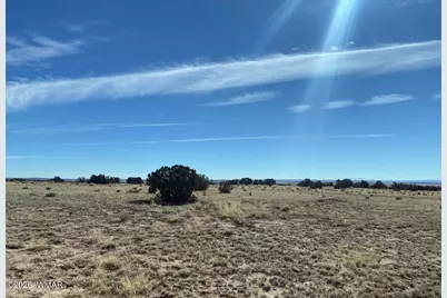 Tbd Lot 372 Cr N7150, Saint Johns, AZ 85936 - Photo 1