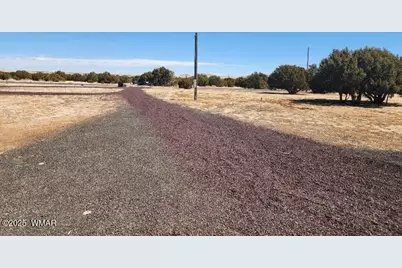 23 County Road 8206, Concho, AZ 85924 - Photo 42