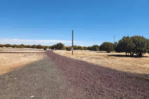 23 Co Rd 8206, Concho, AZ 85924 - Photo 42