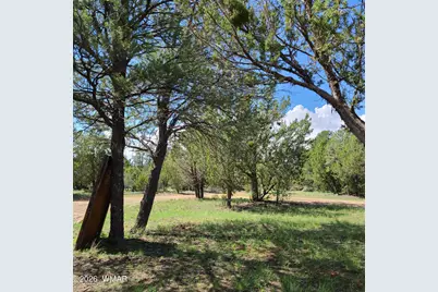 3091 Az-277, Overgaard, AZ 85933 - Photo 6