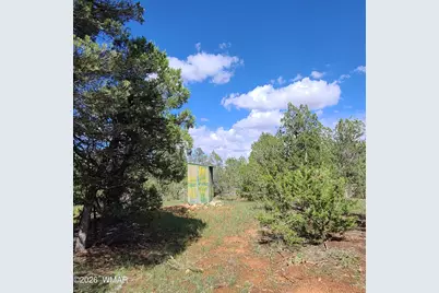 3091 Az-277, Overgaard, AZ 85933 - Photo 8